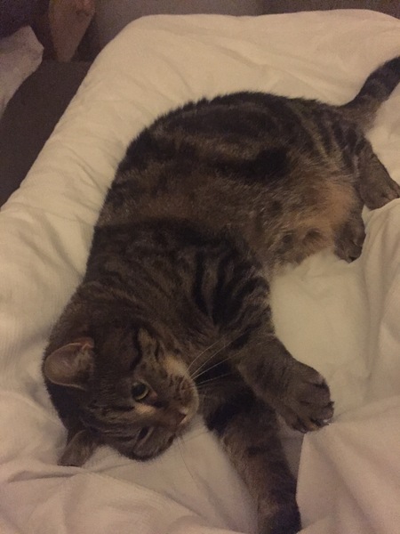 Money-managing Masterfully into May - Frugaleers unite!