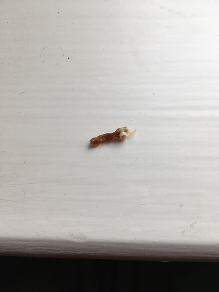 Grommit fallen out, now what? (Gross pic alert)