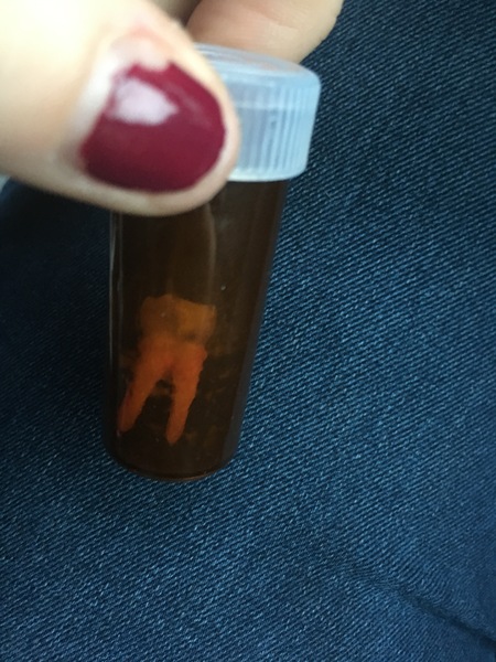 December 2017 #3 - Beware! There is much talk about food on this thread!