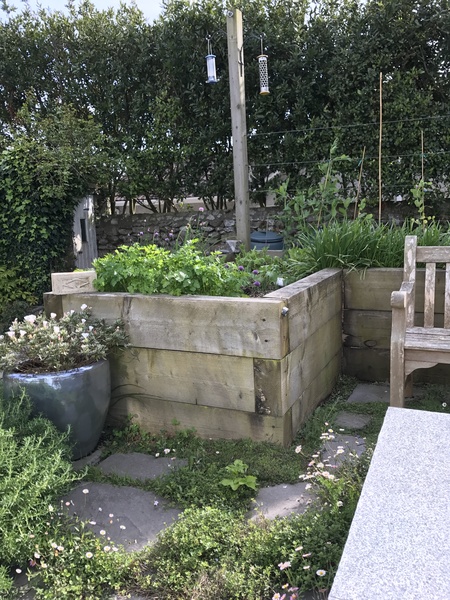 Allotment/Veg Patch Thread 9 - Spring is sprung, its getting really busy!