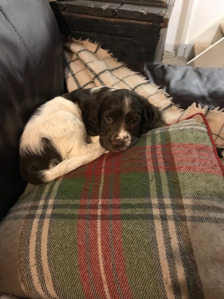 Dh has died - the MN Aunties are helping me keep on