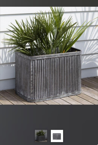 What can I plant in this? Ideas pleaae