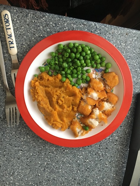 What do you think of this portion size for 15mo?