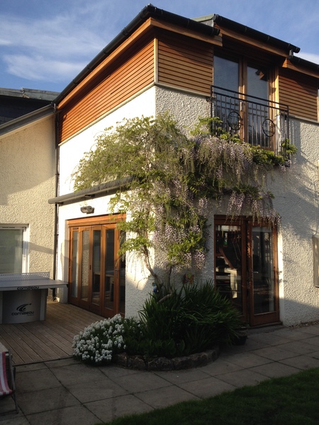 Wisteria in containers
