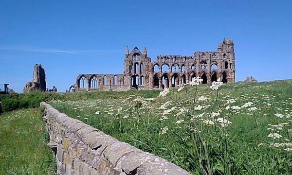 Photos taken on your cycle.