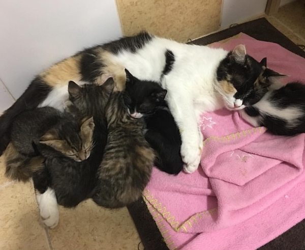 Name Help!