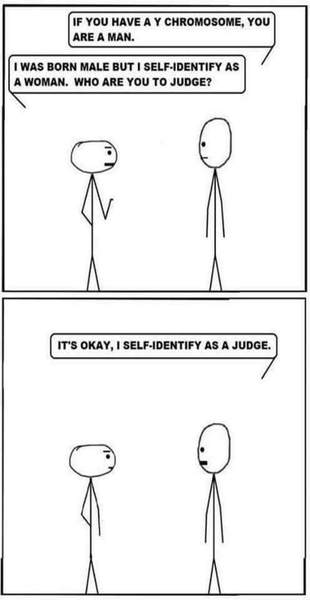 Why so much trans bashing on MN?