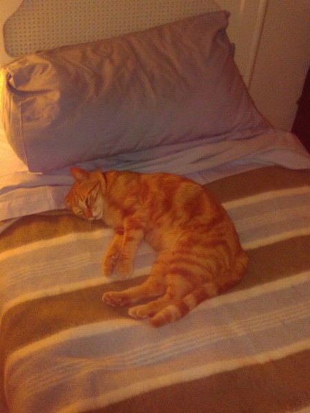 Dh has died - the MN Aunties are helping me keep on