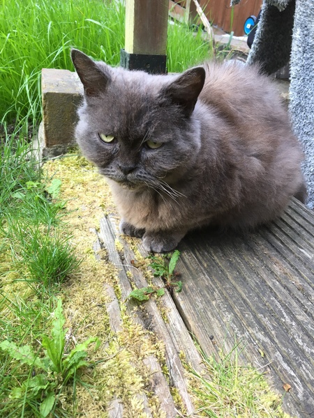 Cats still catting. What's your DCat up to today? Pt 3