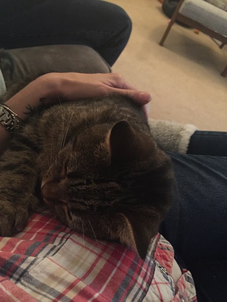 Fluffys frugaleer thread. All welcome.