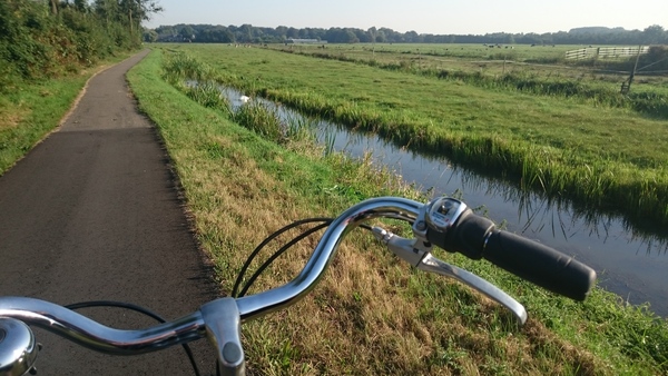 Photos taken on your cycle.