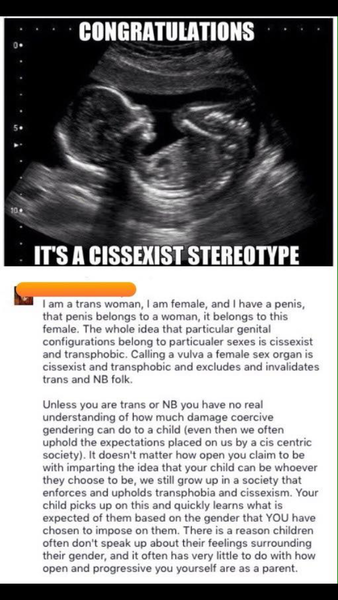Why is MN so transphobic?