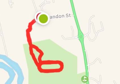 Our last week - Spring Low Carb Bootcamp