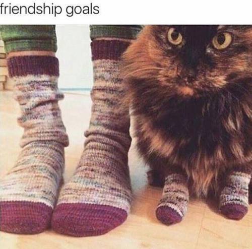 It's the final countdown! Welcome to the final stage of the Chernobyl project 2017.