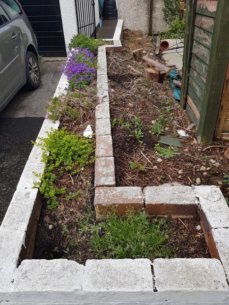 Find out how MNers are getting on with their Homebase Garden Goals challenge NOW CLOSED