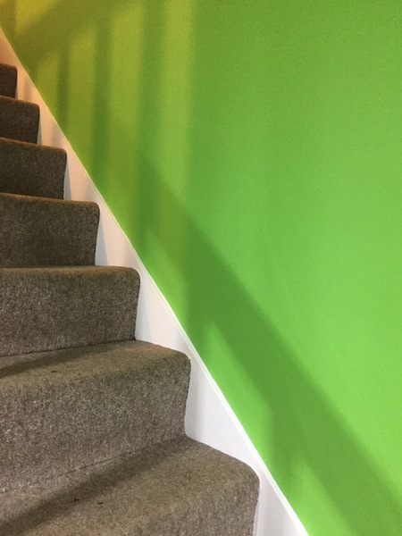 Carpet advice please!