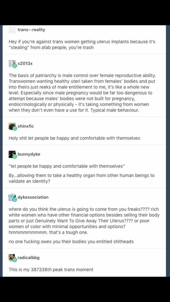 Male TERFS...