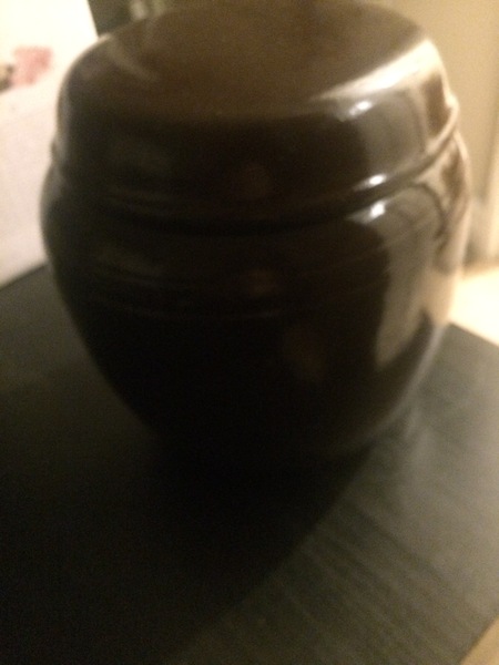 Fermenting for beginners: questions