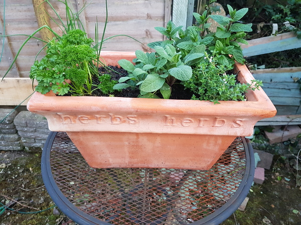 Find out how MNers are getting on with their Homebase Garden Goals challenge NOW CLOSED