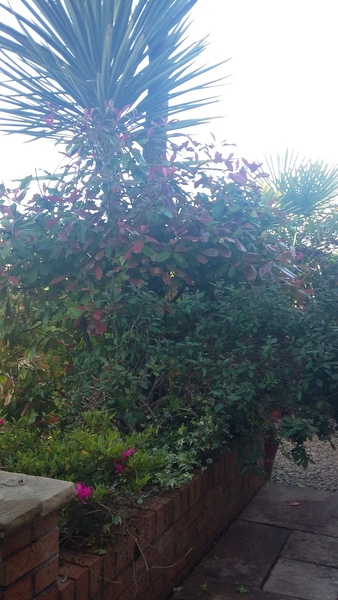 What to do with this tangled mess?