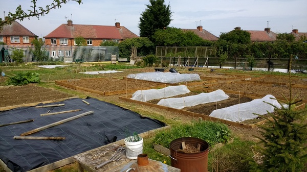 Allotment/Veg Patch Thread 9 - Spring is sprung, its getting really busy!