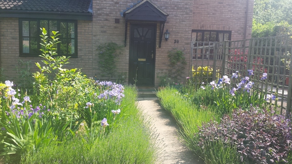 Dh has died and the MN lifesavers are helping us to keep our heads above water