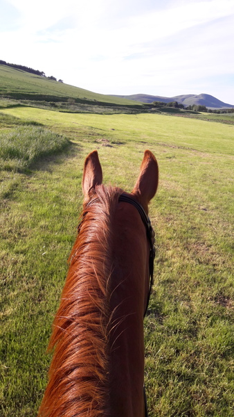 Week 2 - Pre-summer low carb bootcamp