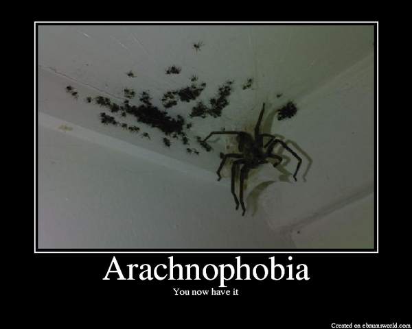 'king hell! my compassionate dh has dropped a spider