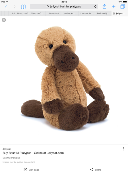 Lost Jellycat Platypus