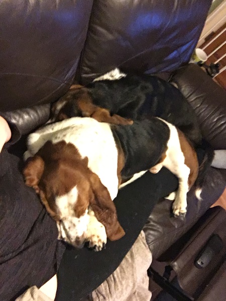 Our last week - Spring Low Carb Bootcamp