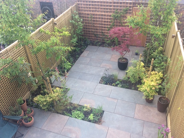 Tree or bush to block out NDNs conservatoty