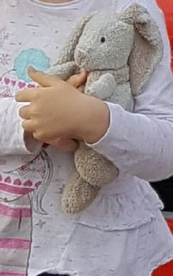 Lost bunny teddy
