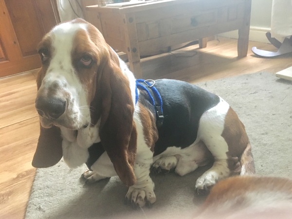 Our last week - Spring Low Carb Bootcamp