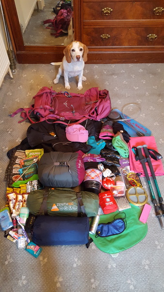 #makeithappen TTC through Donor IUI or Donor IVF or just undecided. All welcome. Thread 8