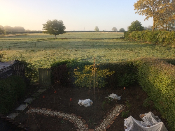 Allotment/Veg Patch Thread 9 - Spring is sprung, its getting really busy!