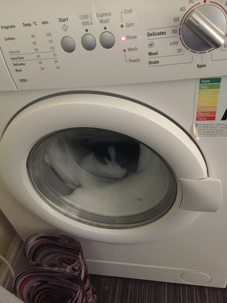 Read Mumsnetters feedback on Ecover Non-Bio Concentrated Laundry Detergent NOW CLOSED