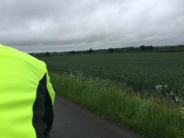 The Sprocket & Cog Café- off-topic chat