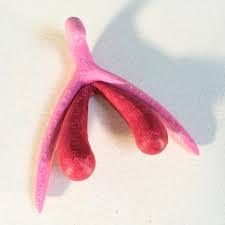 New partner thinks most women orgasm from penetration