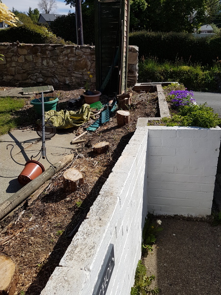 Find out how MNers are getting on with their Homebase Garden Goals challenge NOW CLOSED