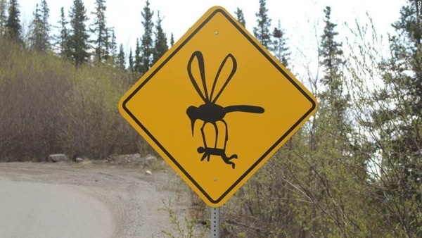 ...to wish mosquitos would just die?