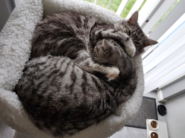 What's your DCat up to today? Pt 2