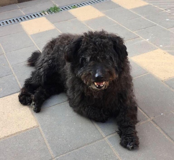 Rescue arriving v soon, insurance recommendations pls