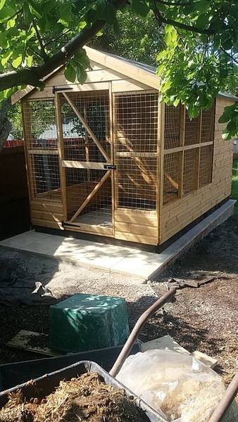What does your rabbit's house look like?