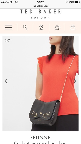 This bag?