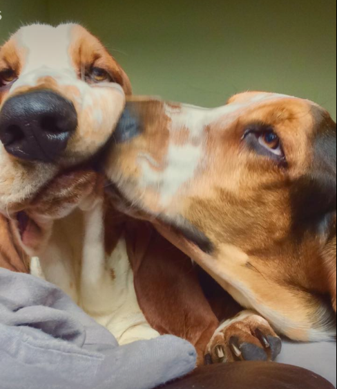 Week 1 - Pre-Summer Low Carb Bootcamp - Off we go!