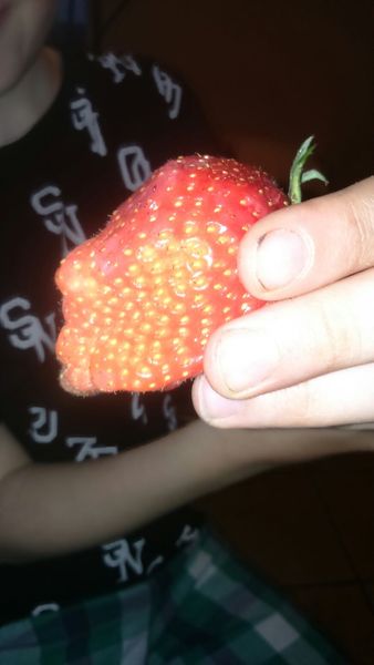 ....about the giant strawberry?!