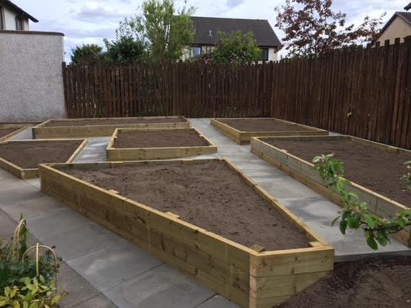 Allotment/Veg Patch Thread 9 - Spring is sprung, its getting really busy!