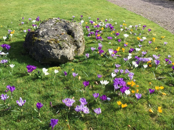 Dh has died and the MN lifesavers are helping us to keep our heads above water