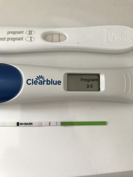 January 2018 babies!