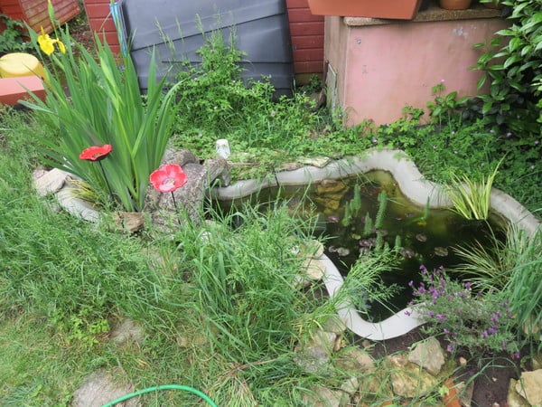 Find out how MNers are getting on with their Homebase Garden Goals challenge NOW CLOSED